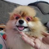 (Category: ) located in . Submitted by akobana (Listing ID 1377134107, Image 1). Description: .