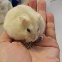 （分類：）位於 。 由 alannemily69724 提交（商品編號 1326714045，圖片 1）。簡介： 。