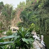 (Kategori: ) berada di . Dikirim oleh ling_liau (ID iklan 1325963043, Gambar 1). Deskripsi: .