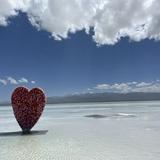 （分類：）位於 。 由 health.beauty_v.care 提交（商品編號 1376668179，圖片 1）。簡介： 。