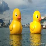 （分類：）位於 。 由 linjin6729 提交（商品編號 1256861427，圖片 1）。簡介： 。