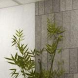 (Category: ) located in . Submitted by xinhuing (Listing ID 1374777604, Image 1). Description: .