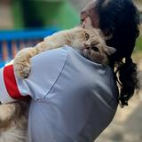 (Kategori: ) berada di . Dikirim oleh dadanrh (ID iklan 1353291651, Gambar 1). Deskripsi: .