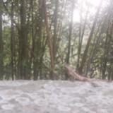 由 df00987 (刊登 ID 1378767447，圖片 1) 提交，位於 的 (類別：)，說明：。