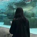 由 _aina._ (刊登 ID 1367644813，圖片 1) 提交，位於 的 (類別：)，說明：。