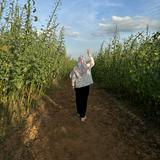 (Category: ) located in . Submitted by ainasyazzira (Listing ID 1384486914, Image 1). Description: .
