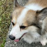 (Category: ) located in . Submitted by shaniagirl32212 (Listing ID 1375507638, Image 1). Description: .