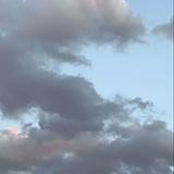 （分類：）位於 。 由 wohooo0708 提交（商品編號 1382825814，圖片 1）。簡介： 。