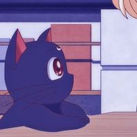 （分類：）位於 。 由 luna6386 提交（商品編號 1327697545，圖片 1）。簡介： 。