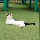 (Kategori: ) berada di . Dikirim oleh momskiimomskii (ID iklan 1362056465, Gambar 1). Deskripsi: .