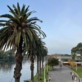 (Category: ) located in . Submitted by pamarama (Listing ID 1368520430, Image 1). Description: .