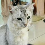 (Category: ) located in . Submitted by m.nabila (Listing ID 1384701032, Image 1). Description: .