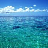 （分類：）位於 。 由 msi98 提交（商品編號 1352215335，圖片 1）。簡介： 。