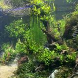 (Category: ) located in . Submitted by namal1017 (Listing ID 1293140047, Image 1). Description: .