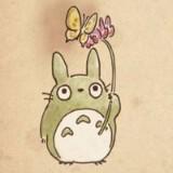 (Category: ) located in . Submitted by totoro_22 (Listing ID 1253624469, Image 1). Description: .