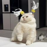 （分類：）位於 。 由 ty.peace 提交（商品編號 1385612353，圖片 1）。簡介： 。
