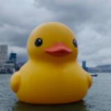 （分類：）位於 。 由 hhwong1014 提交（商品編號 1378842527，圖片 1）。簡介： 。