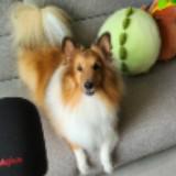 (Category: ) located in . Submitted by mandapandaaa2 (Listing ID 1379682710, Image 1). Description: .