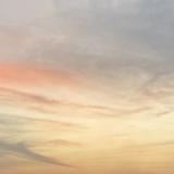 (Category: ) located in . Submitted by savingeartheveryday (Listing ID 1380030951, Image 1). Description: .