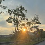 (Category: ) located in . Submitted by syikin.fisol (Listing ID 1437351696, Image 1). Description: .