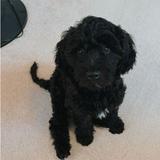 (Category: ) located in . Submitted by kul1995 (Listing ID 1385066051, Image 1). Description: .