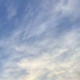 (分類:)位於 。 由 c_c_c_c_c_t 提交(商品編號 1453419377,圖片 1)。簡介: 。