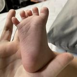 由 pazho (刊登 ID 1382251065，圖片 1) 提交，位於 的 (類別：)，說明：。