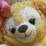 由 a322323 (刊登 ID 1382068824，圖片 1) 提交，位於 的 (類別：)，說明：。