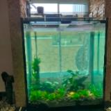 (Category: ) located in . Submitted by lawr3nc3 (Listing ID 1278137080, Image 1). Description: .