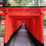 (分類:)位於 。 由 leo.angle 提交(商品編號 1460171625,圖片 1)。簡介: 。