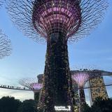 (Category: ) located in . Submitted by pd_singapore (Listing ID 1379352167, Image 1). Description: .