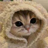 (Category: ) located in . Submitted by i.izzazi (Listing ID 1457823167, Image 1). Description: .