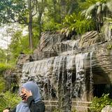 (Category: ) located in . Submitted by leenmohd_ (Listing ID 1321873441, Image 1). Description: .
