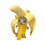 （分類：）位於 。 由 ooooyh 提交（商品編號 1381470181，圖片 1）。簡介： 。