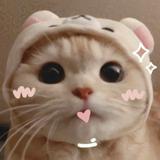(Category: ) located in . Submitted by pinkyfluffypufff (Listing ID 1382185384, Image 1). Description: .