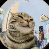 由 sheryl51312302 (刊登 ID 1371618295，圖片 1) 提交，位於 的 (類別：)，說明：。
