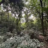 （分類：）位於 。 由 tmc224 提交（商品編號 1375263431，圖片 1）。簡介： 。