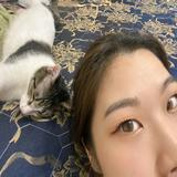 由 anjhihchen (刊登 ID 1382317228，圖片 1) 提交，位於 的 (類別：)，說明：。