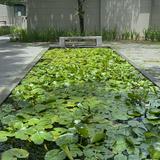 (Category: ) located in . Submitted by eteoh04 (Listing ID 1380850932, Image 1). Description: .