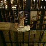 (Category: ) located in . Submitted by wawagur (Listing ID 1339654137, Image 1). Description: .