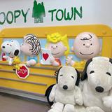 (Category: ) located in . Submitted by 2021Zoe (Listing ID 1384443114, Image 1). Description: .