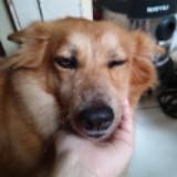 (Category: ) located in . Submitted by aey04 (Listing ID 1439522723, Image 1). Description: .