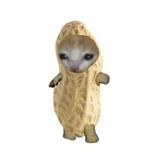 (Category: ) located in . Submitted by cuteprelovess (Listing ID 1378706835, Image 1). Description: .