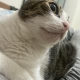 由 s1017 (刊登 ID 1346476520，圖片 1) 提交，位於 的 (類別：)，說明：。