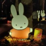 (Category: ) located in . Submitted by miffyalyy (Listing ID 1381127412, Image 1). Description: .