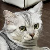 由 JUNE0131 (刊登 ID 1340685785，圖片 1) 提交，位於 的 (類別：)，說明：。