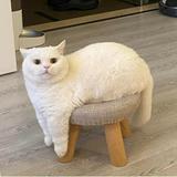 (Category: ) located in . Submitted by chifanle (Listing ID 1382139204, Image 1). Description: .