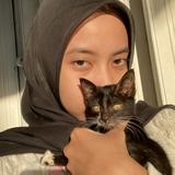 (Kategori: ) berada di . Dikirim oleh lelong_atau_mati (ID iklan 1313659439, Gambar 1). Deskripsi: .