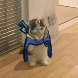 (Category: ) located in . Submitted by nowatimsaying (Listing ID 1379919922, Image 1). Description: .