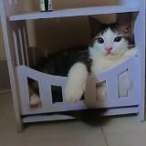 (Kategori: ) berada di . Dikirim oleh revel_ (ID iklan 1301776567, Gambar 1). Deskripsi: .